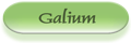 Galium